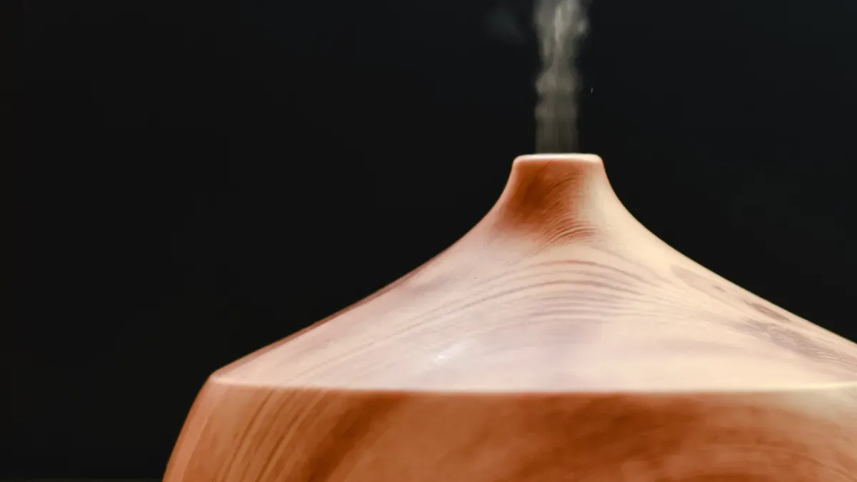 Using and Maintaining the Diffuser